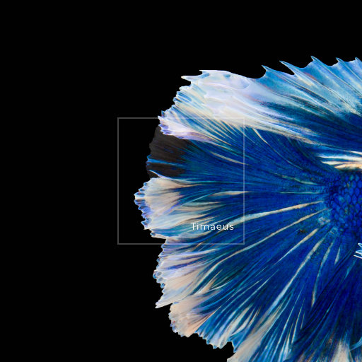 日产中文乱码字幕无线观看
